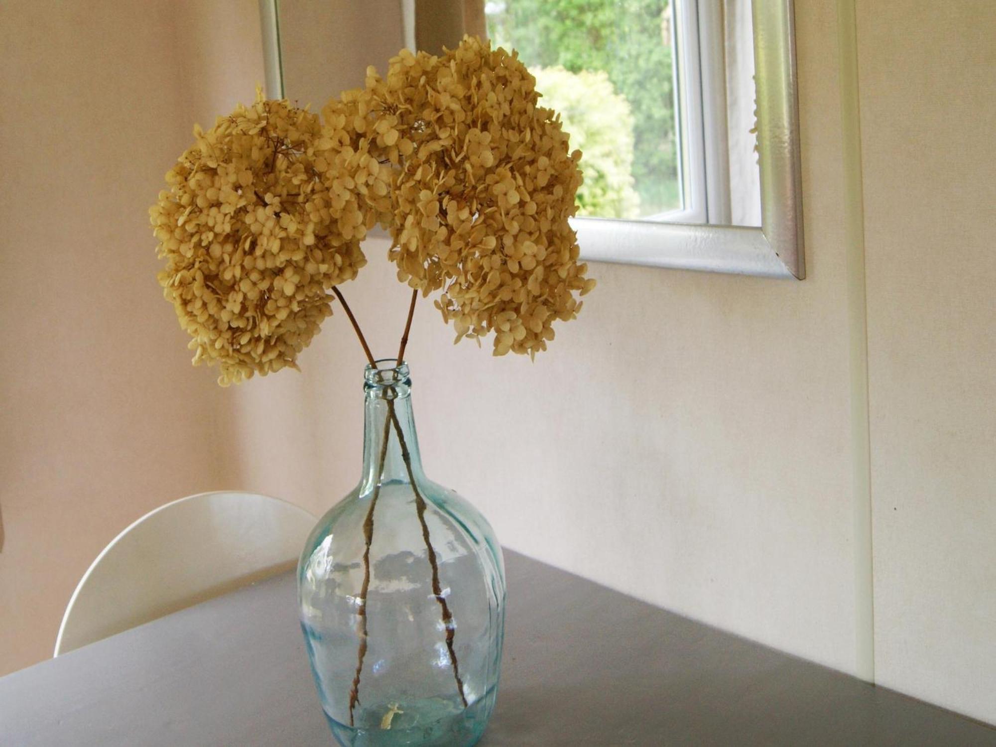 Cosy Holiday Home In Appelscha With Garden Extérieur photo